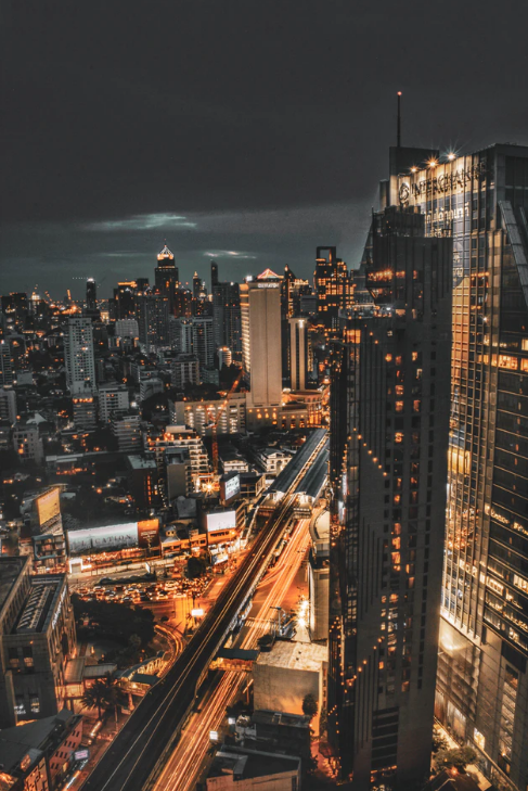 City wolf