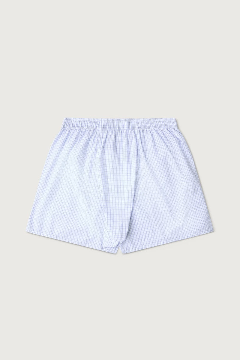 The Boxer Cuadro Celeste Fondo Blanco-zoom-