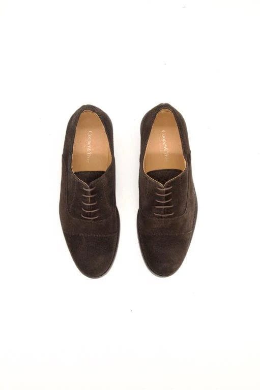 The Oxford Brown Suede