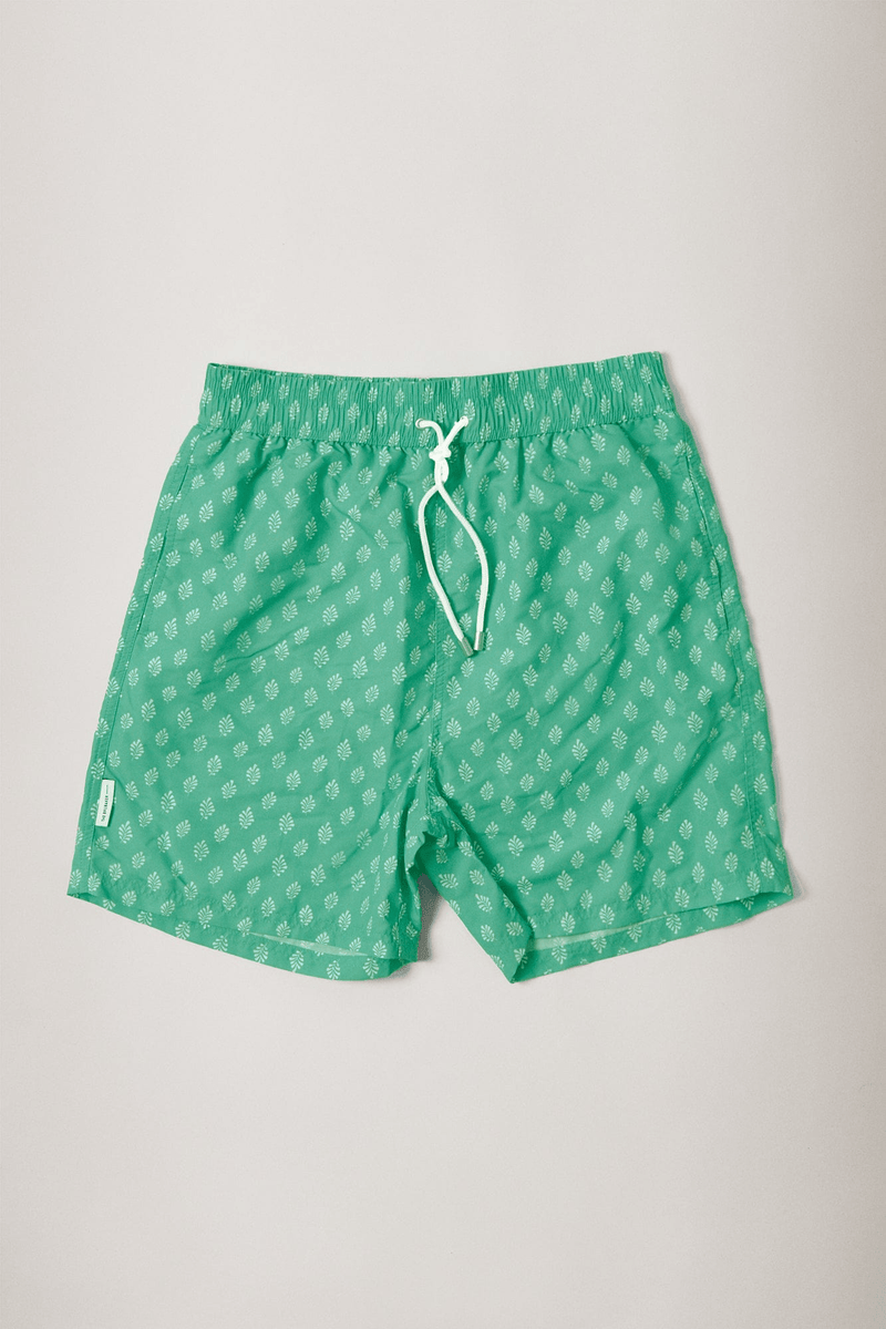 The Swim Verde Lombardia-zoom-
